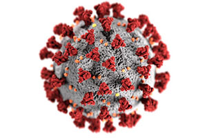 stock image of the COVID 19 virus