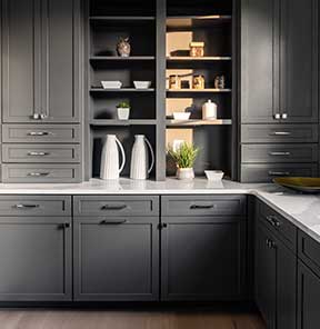 A unique Butler's Pantry of dark grey cabinets and shelving, white q quartz countertops.